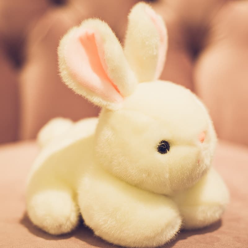 ふかふかの優しい触り心地 癒しのうさぎぬいぐるみ ギフト向け