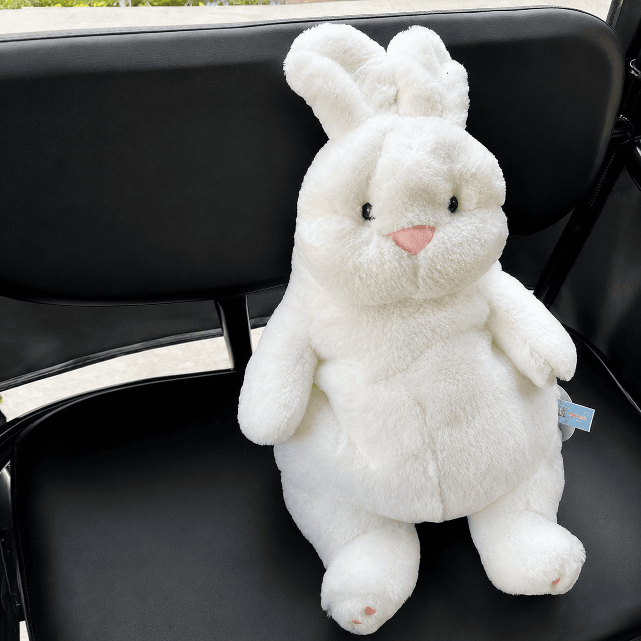 ふわふわもちもち うさぎ ぬいぐるみ ギフト向け