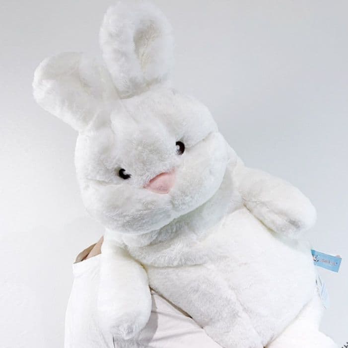 ふわふわもちもち うさぎ ぬいぐるみ ギフト向け