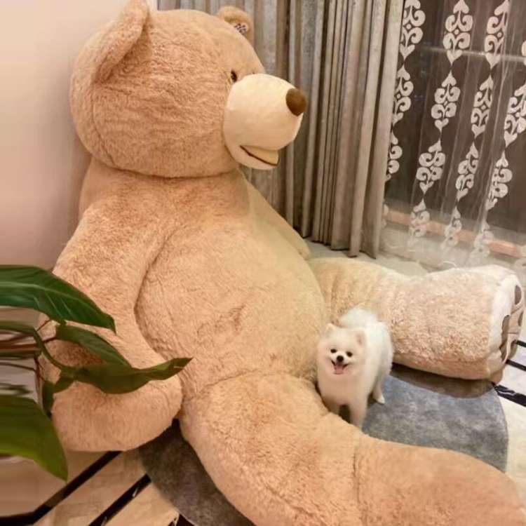 圧倒的な大きさ 癒し ギフト向け くまぬいぐるみ