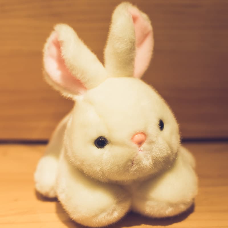 ふかふかの優しい触り心地 癒しのうさぎぬいぐるみ ギフト向け